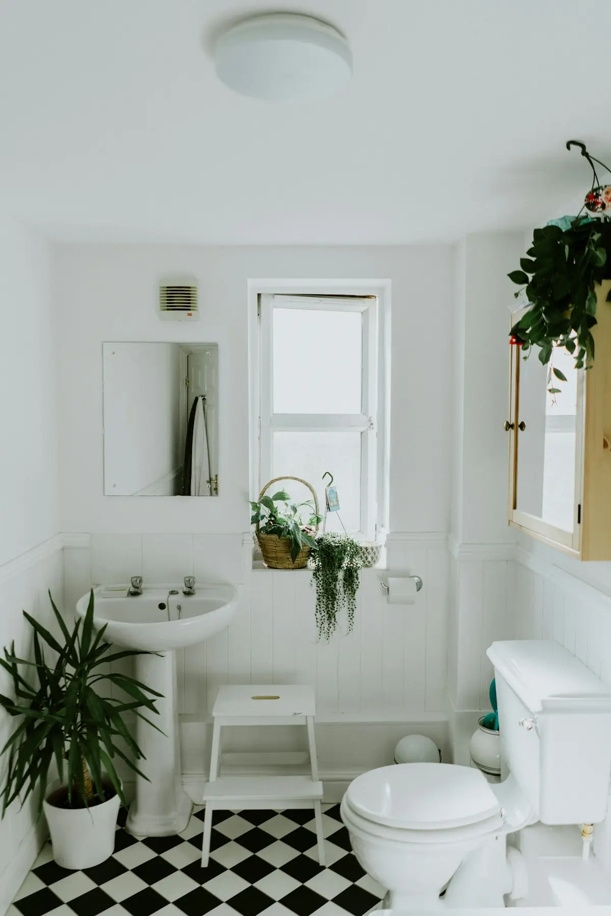 Renovated bathroom with pedestal basin and plants